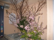 東京都大田区の花屋　花秀